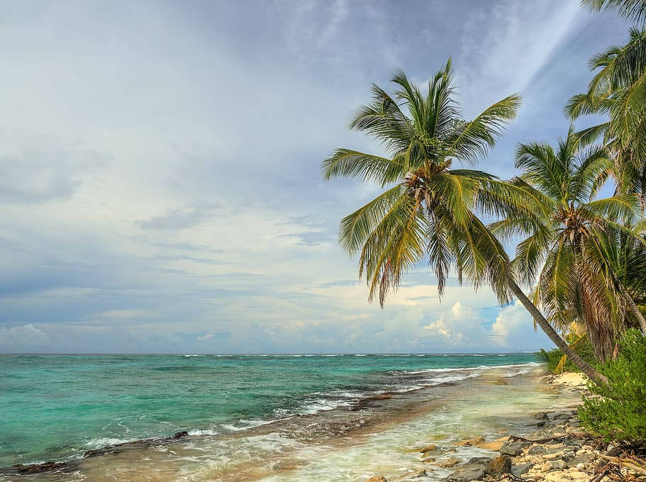 Tuvalu, palm trees, turquoise waves, SD Desktop Wallpaper