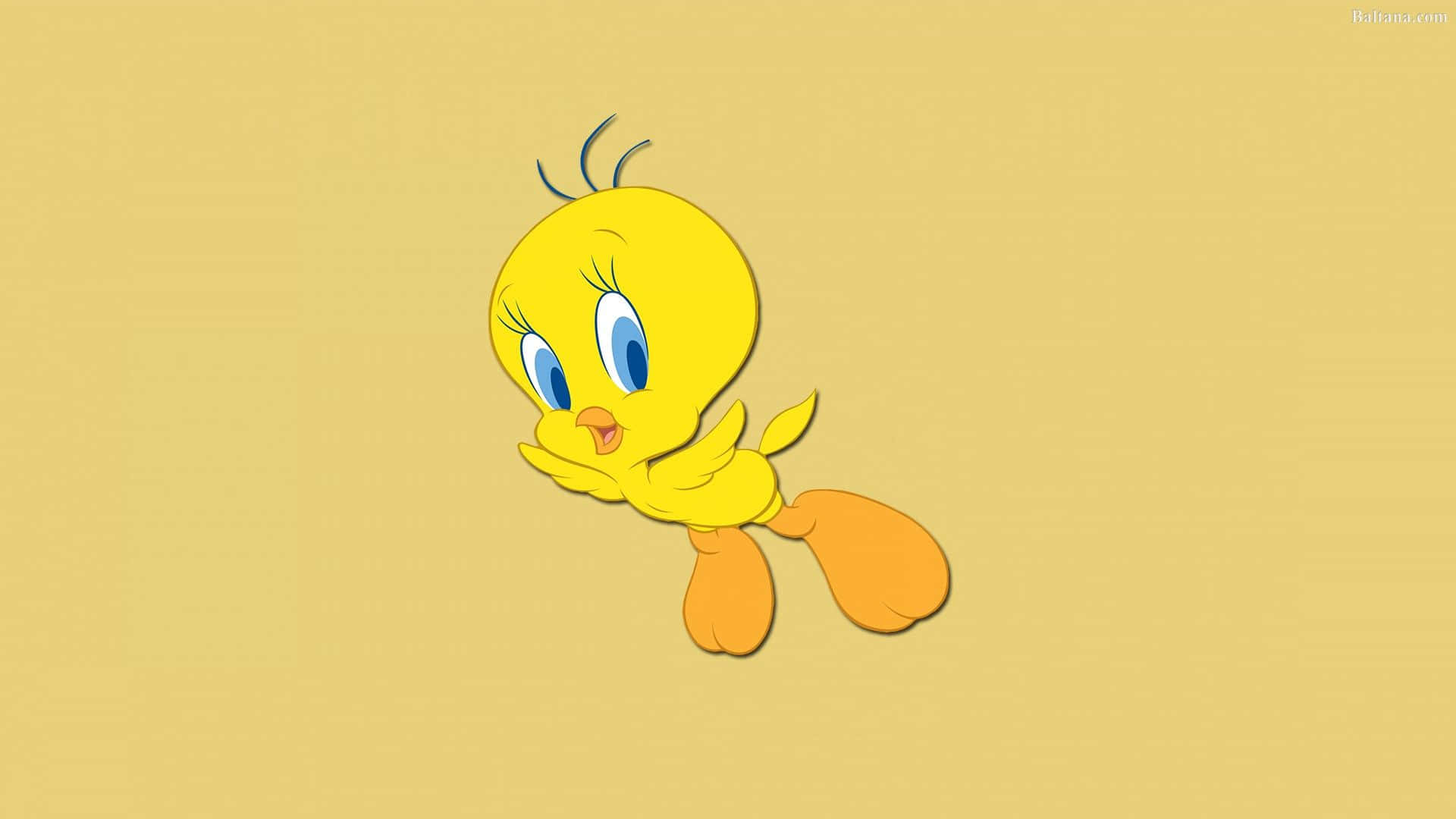 Tweety Bird, yellow, blue eyes, Full HD Desktop Wallpaper