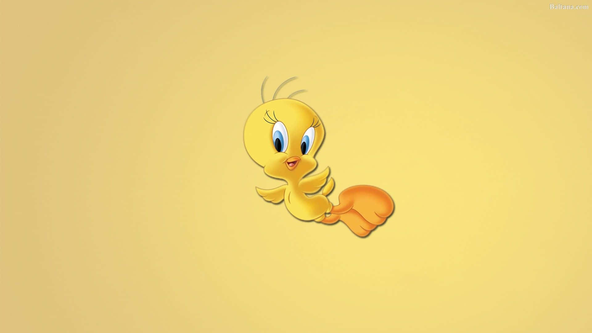 Tweety Bird, yellow cartoon bird, blue eyes, Full HD Desktop Wallpaper