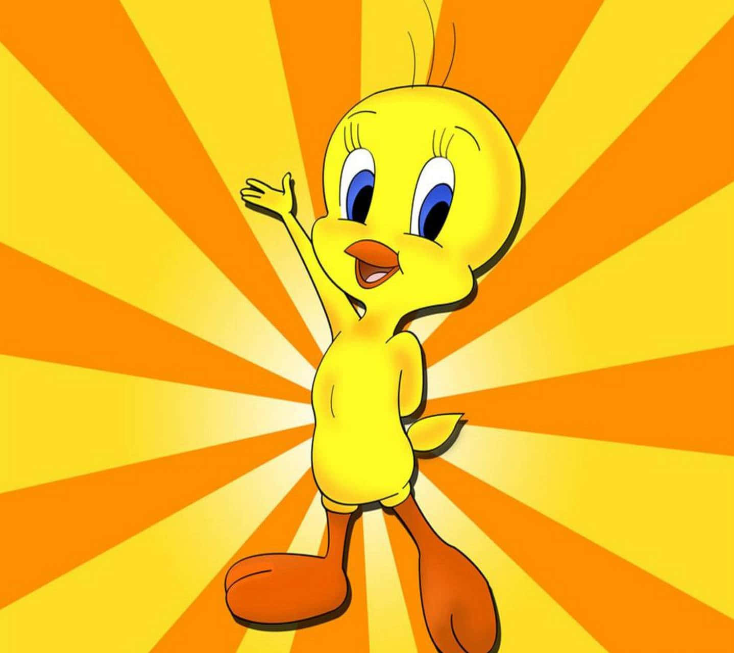 Tweety Bird, yellow cartoon bird, vibrant sunburst background, HD Desktop Wallpaper
