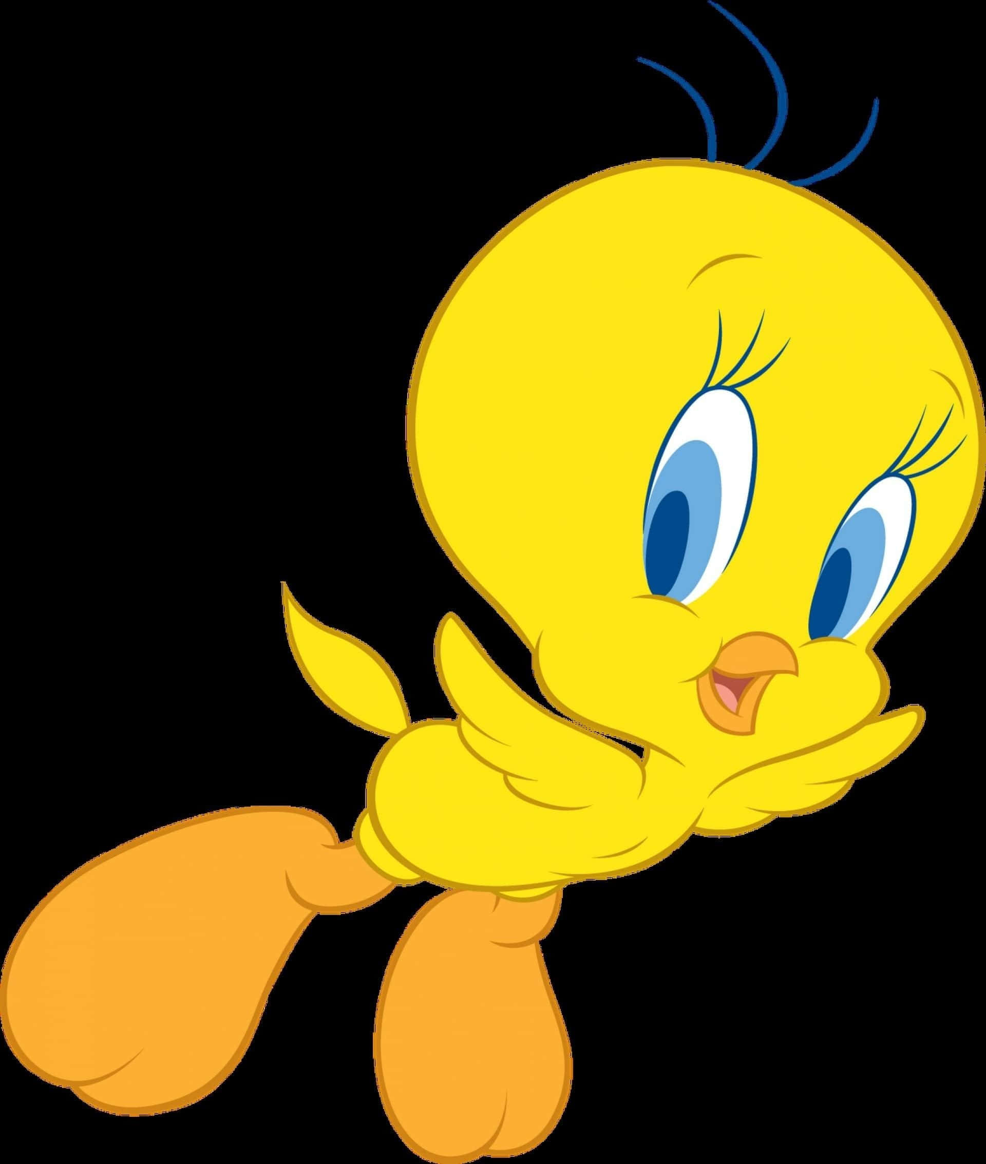 Tweety Bird, yellow cartoon bird, blue eyes, Full HD Phone Wallpaper