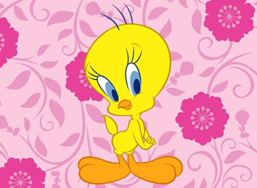 Tweety Bird, yellow cartoon bird, blue eyes, SD Desktop Wallpaper