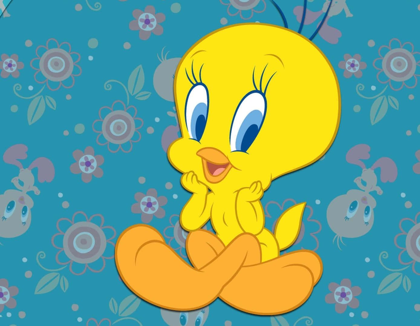 Tweety Bird, yellow cartoon bird, big blue eyes, HD Desktop Wallpaper