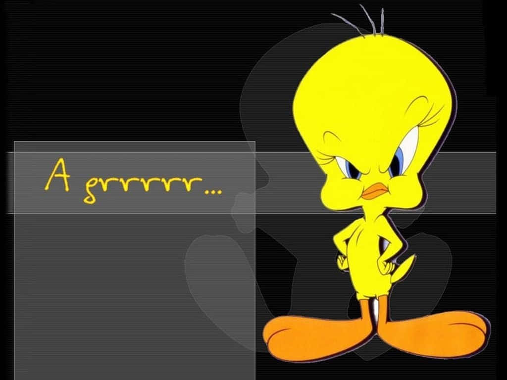 Tweety Bird, yellow bird, blue eyes, SD Desktop Wallpaper