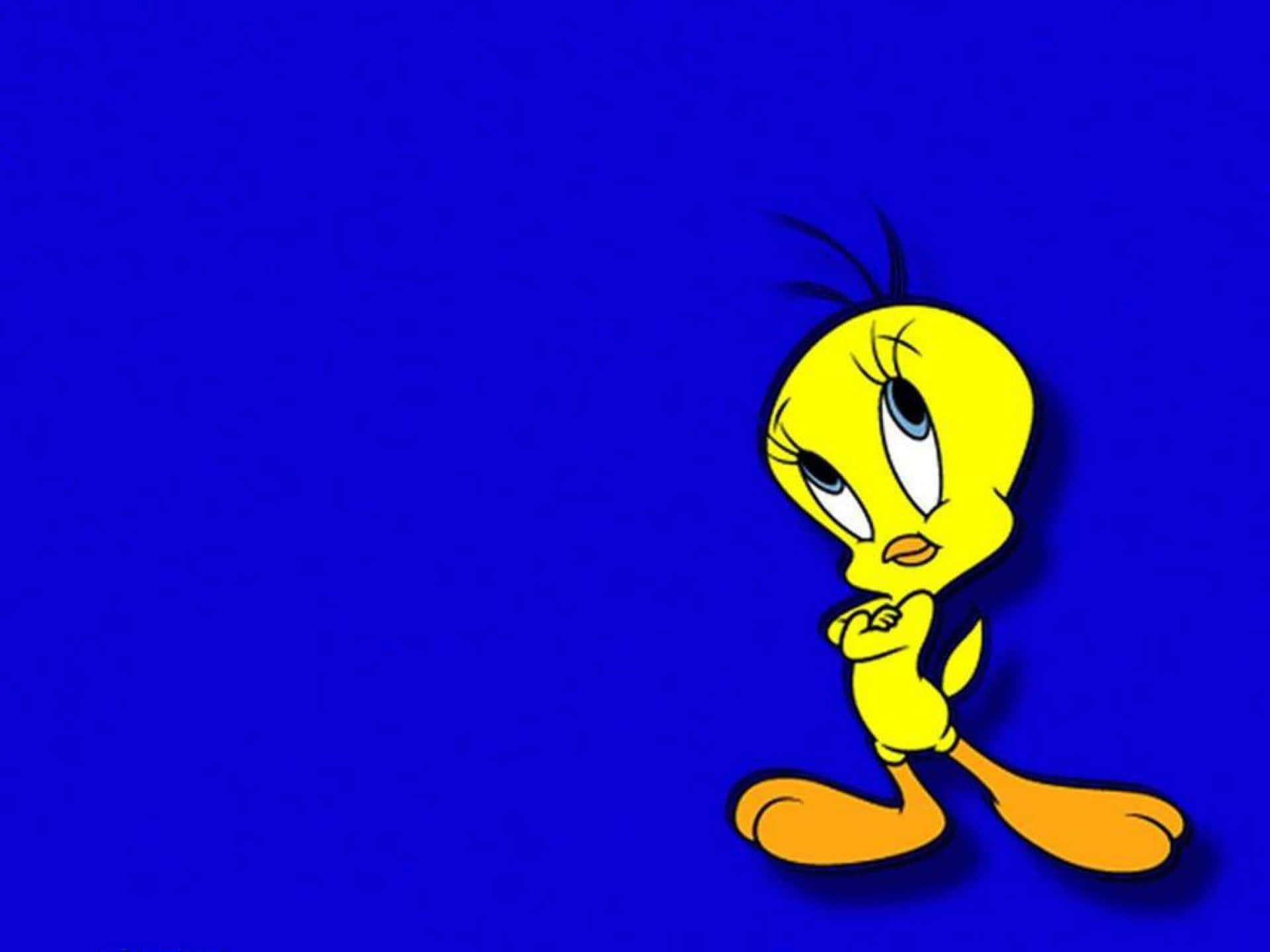 Tweety Bird, yellow, crossed arms, Full HD Desktop Wallpaper