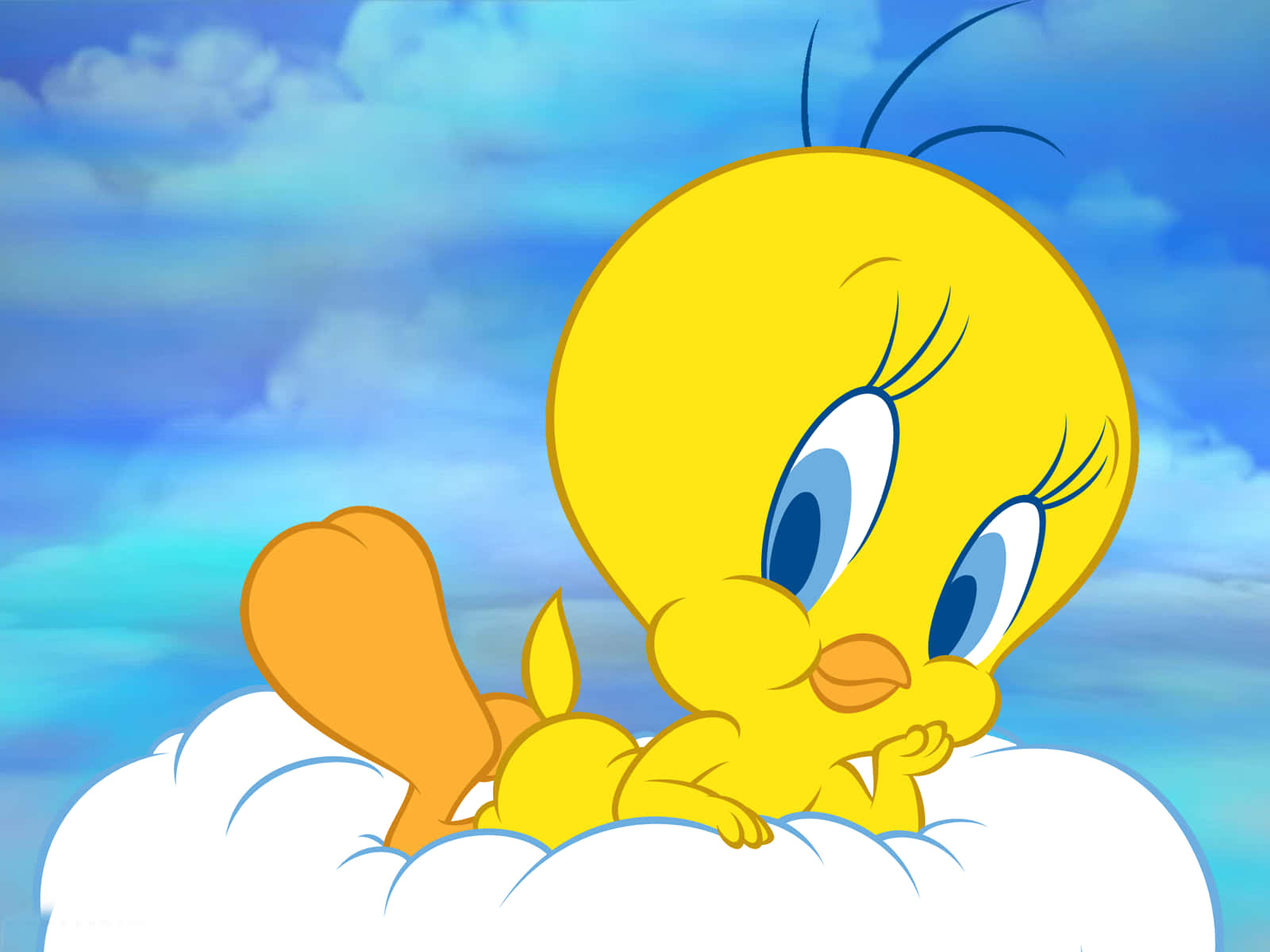Tweety Bird, yellow cartoon bird, big blue eyes, HD Desktop Wallpaper