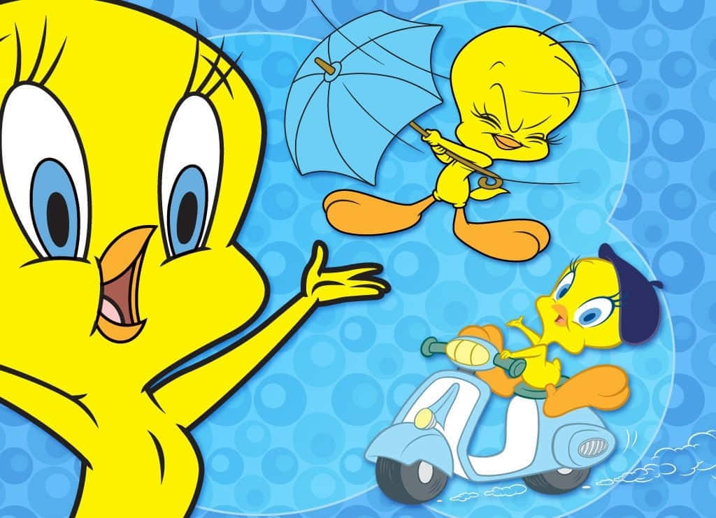 Tweety Bird, blue bubble background, umbrella, SD Desktop Wallpaper