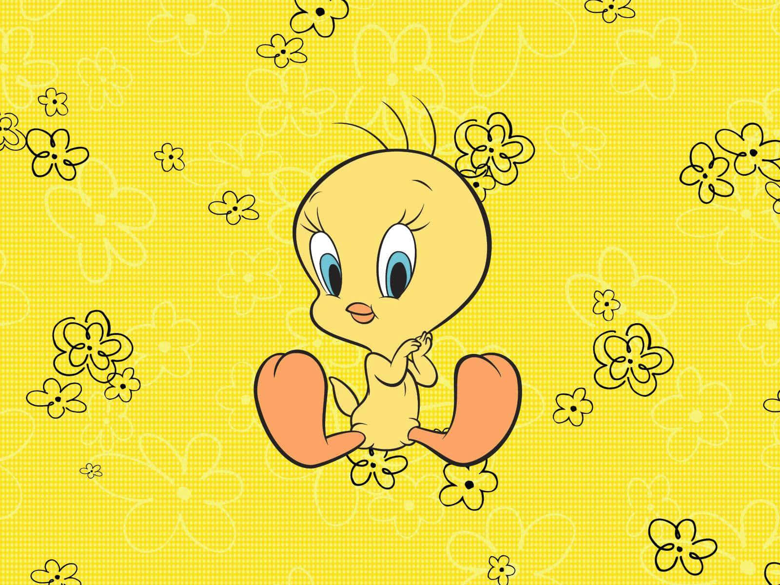 Tweety Bird, baby bird, big blue eyes, HD Desktop Wallpaper