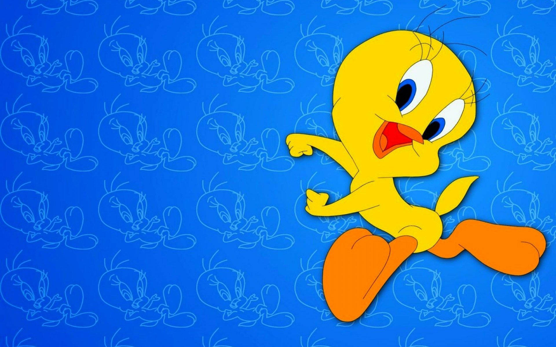 Tweety Bird, yellow cartoon bird, orange feet, Full HD Desktop Wallpaper