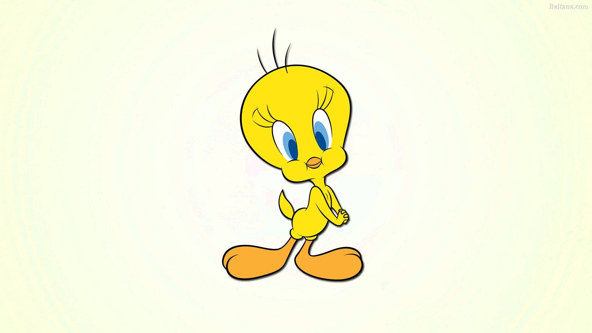 Tweety Bird, yellow cartoon bird, blue eyes, Full HD Desktop Wallpaper