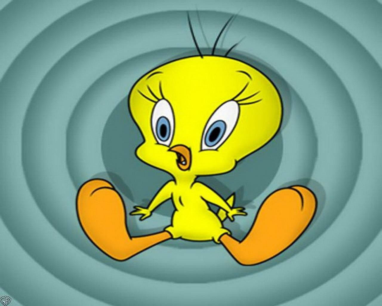 Tweety Bird, yellow bird, blue eyes, HD Desktop Wallpaper