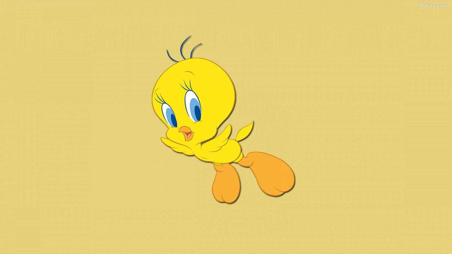 Tweety Bird, yellow, blue eyes, Full HD Desktop Wallpaper