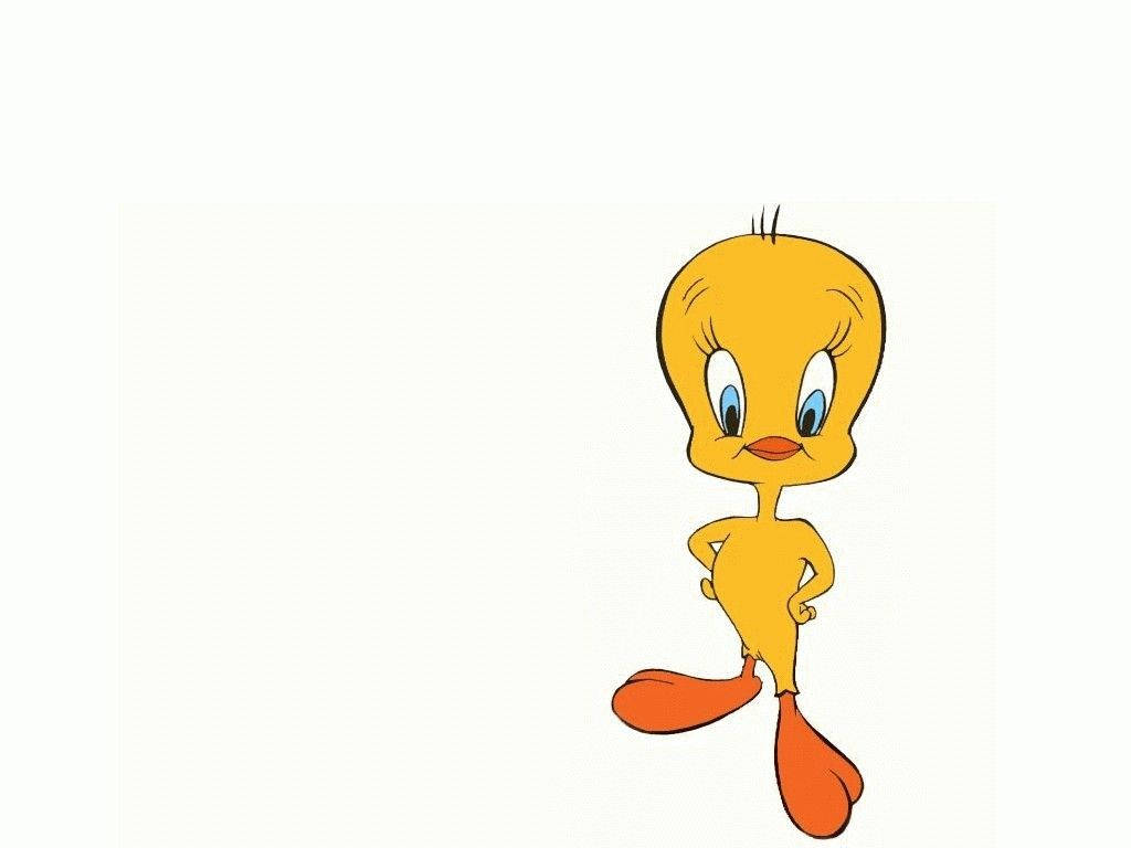 Tweety Bird, hands on hips, off-white background, SD Desktop Wallpaper