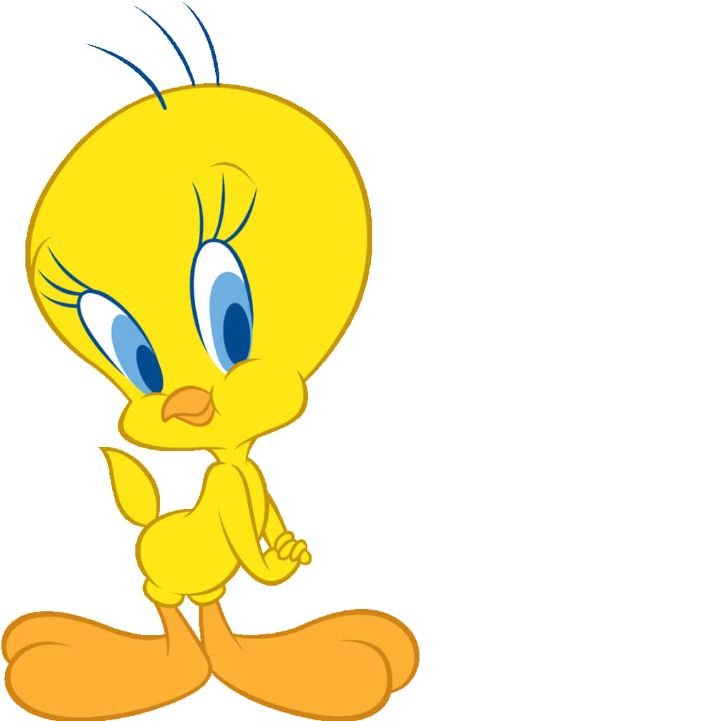 Tweety Bird, yellow, blue eyes, SD Phone Wallpaper
