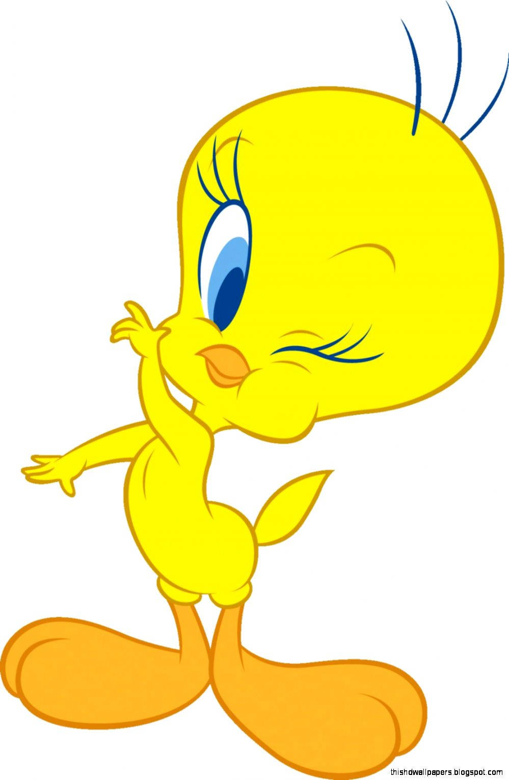 Tweety Bird, yellow cartoon bird, one eye closed, HD Phone Wallpaper