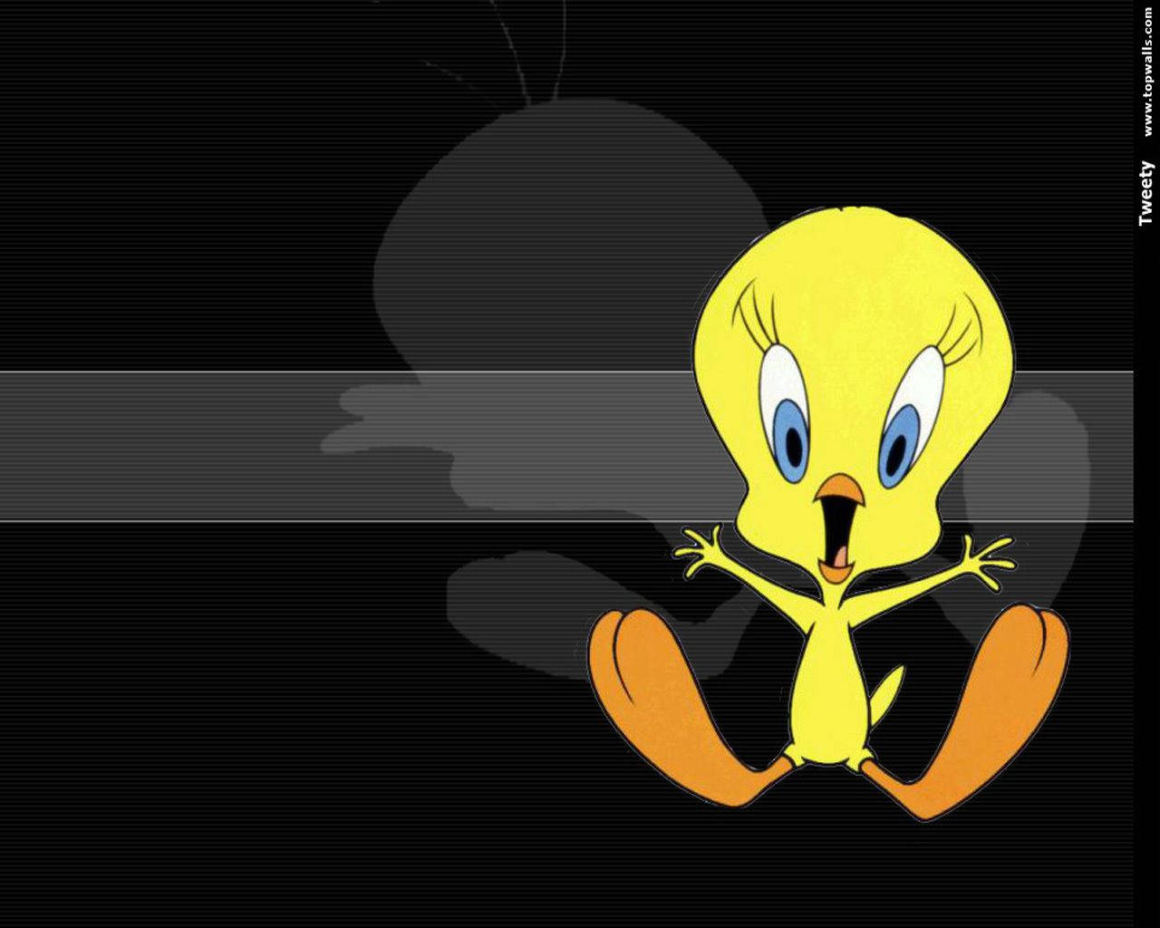 Tweety Bird, yellow bird, blue eyes, HD Desktop Wallpaper