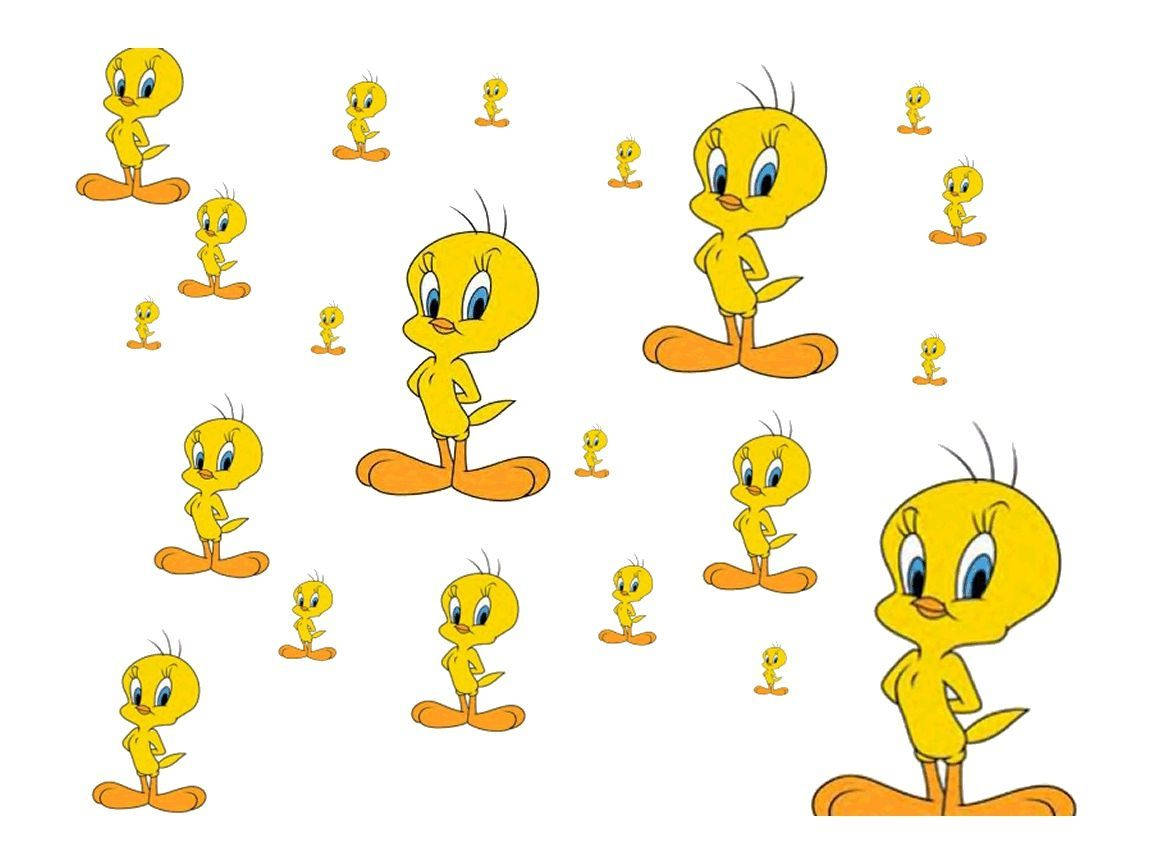 Tweety Bird, yellow birds, blue eyes, SD Desktop Wallpaper