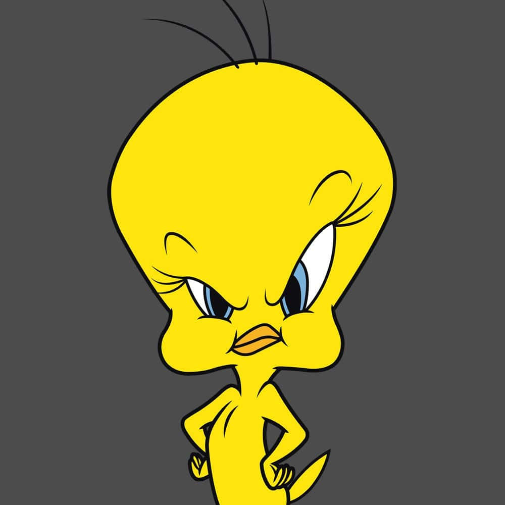 Tweety Bird, yellow bird, blue eyes, SD Desktop Wallpaper