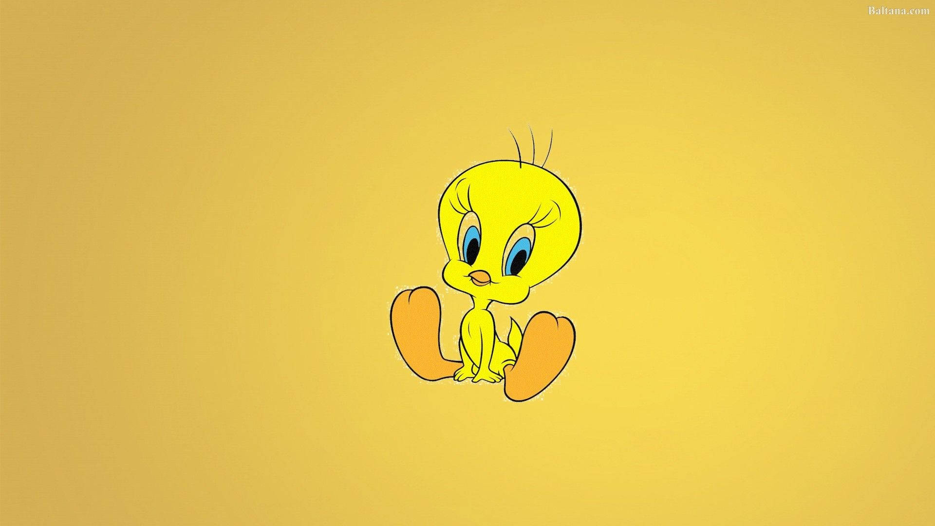 Tweety, yellow cartoon bird, big blue eyes, Full HD Desktop Wallpaper