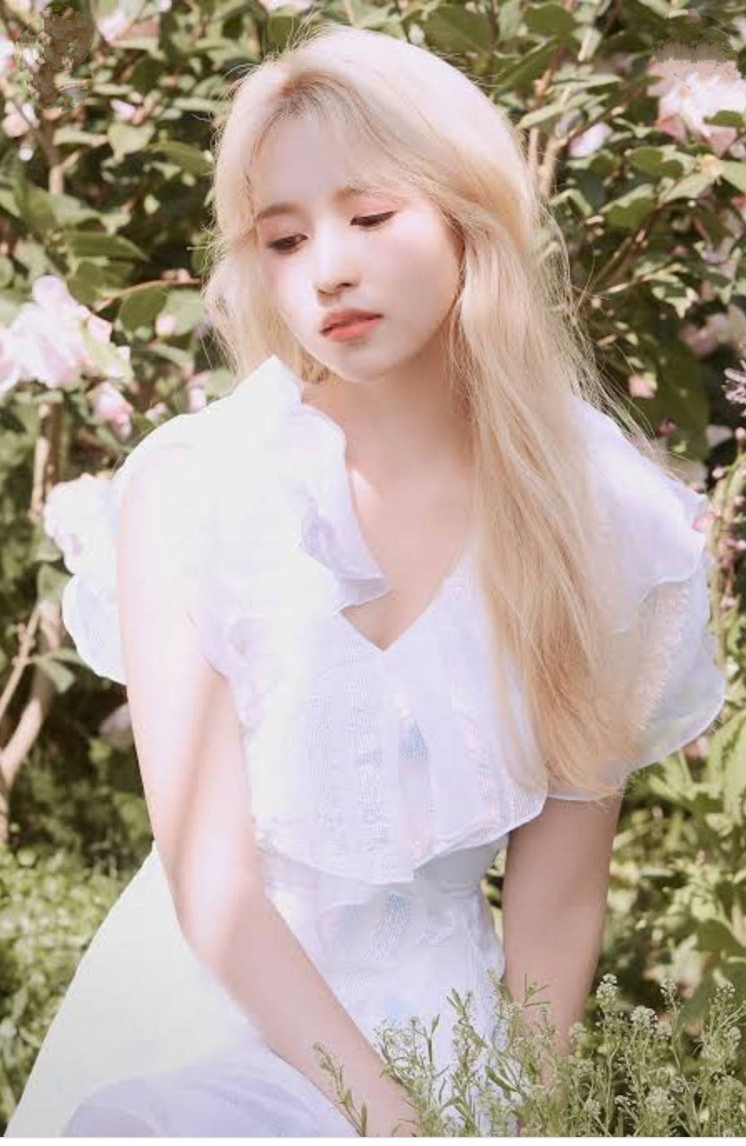 Twice, Mina, ethereal shoot, HD Phone Wallpaper
