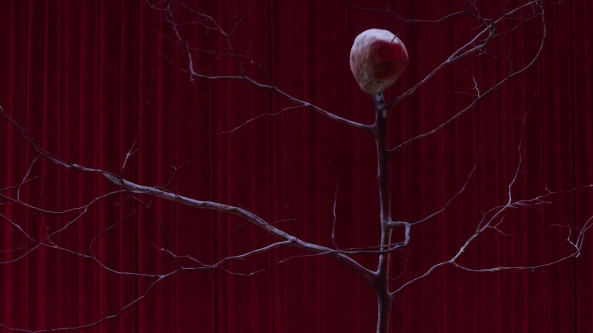 Twin Peaks, 1920 x 1080, withered apple, Full HD Desktop Wallpaper