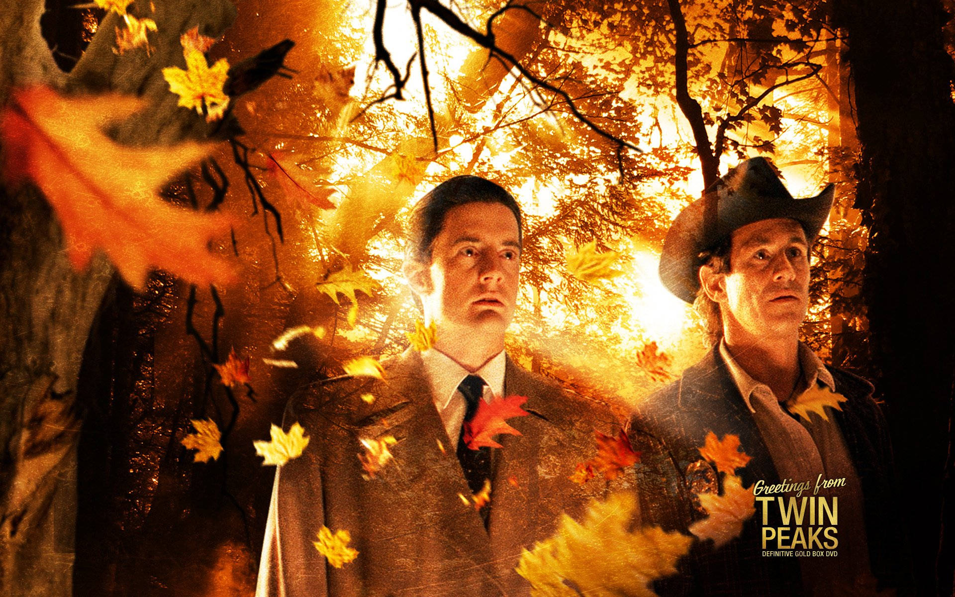 Twin Peaks, golden autumn forest, leaves swirl, Full HD Desktop Wallpaper