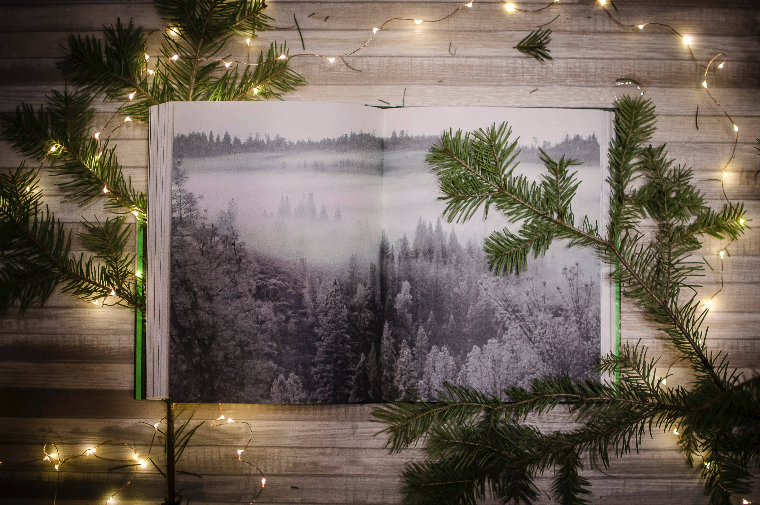 Twin Peaks, Christmas lights, misty forest, Full HD Desktop Wallpaper