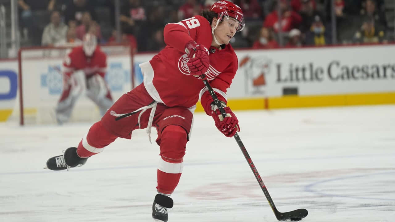 Tyler Bertuzzi, red uniform, ice, HD Desktop Wallpaper