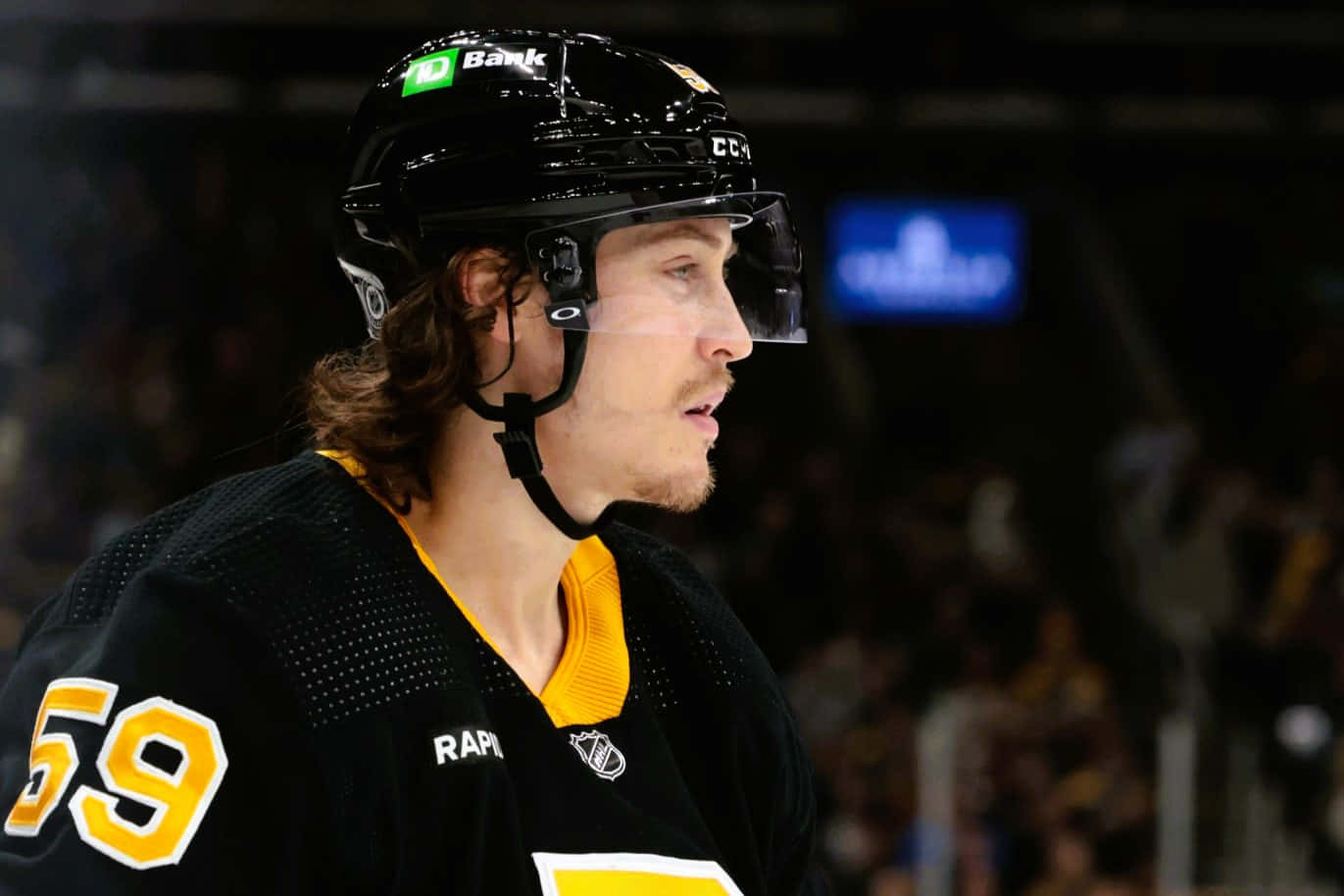 Tyler Bertuzzi, number 59, black and yellow jersey, HD Desktop Wallpaper