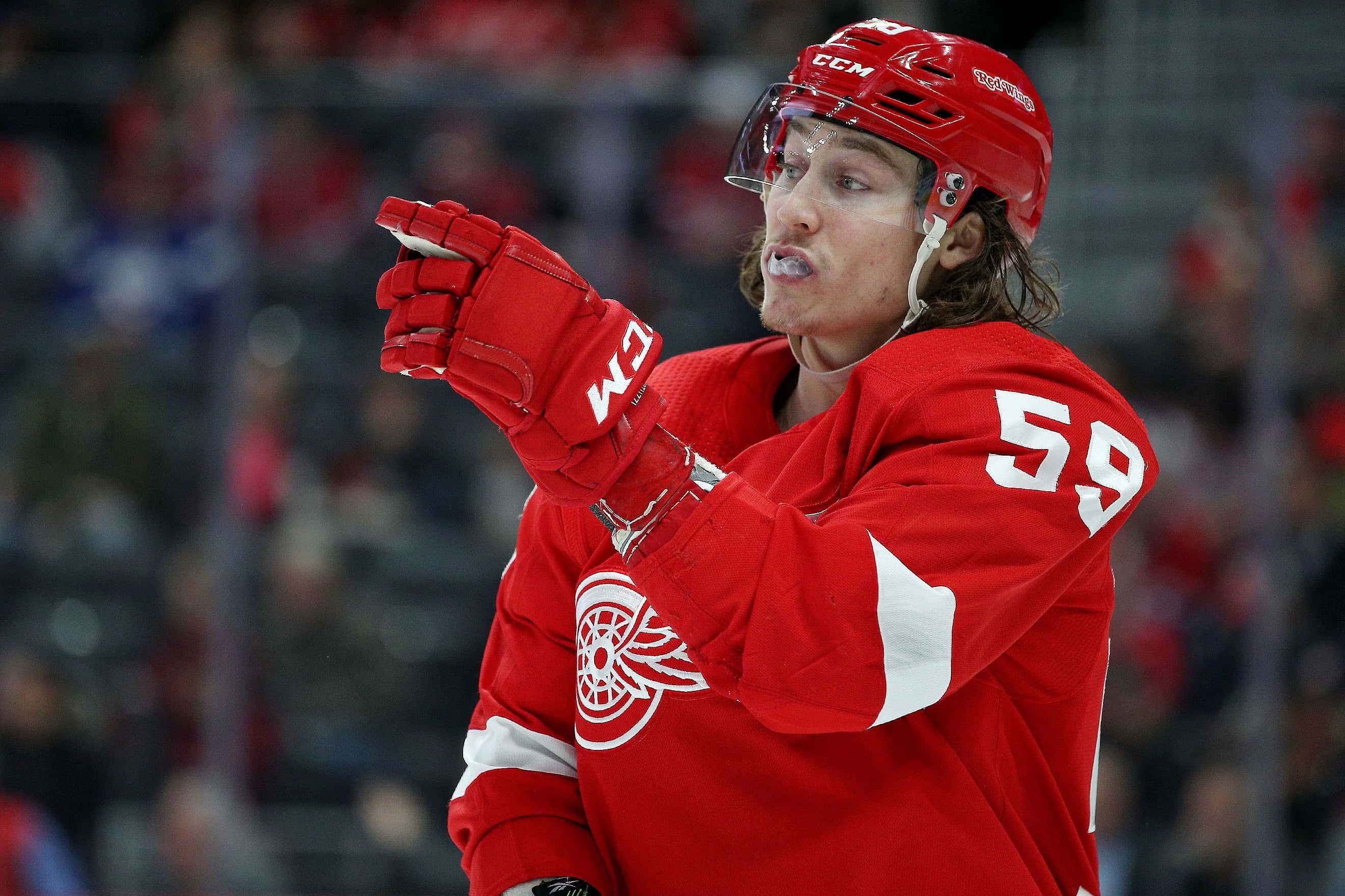 Tyler Bertuzzi, number 59, red gear, 2K Desktop Wallpaper