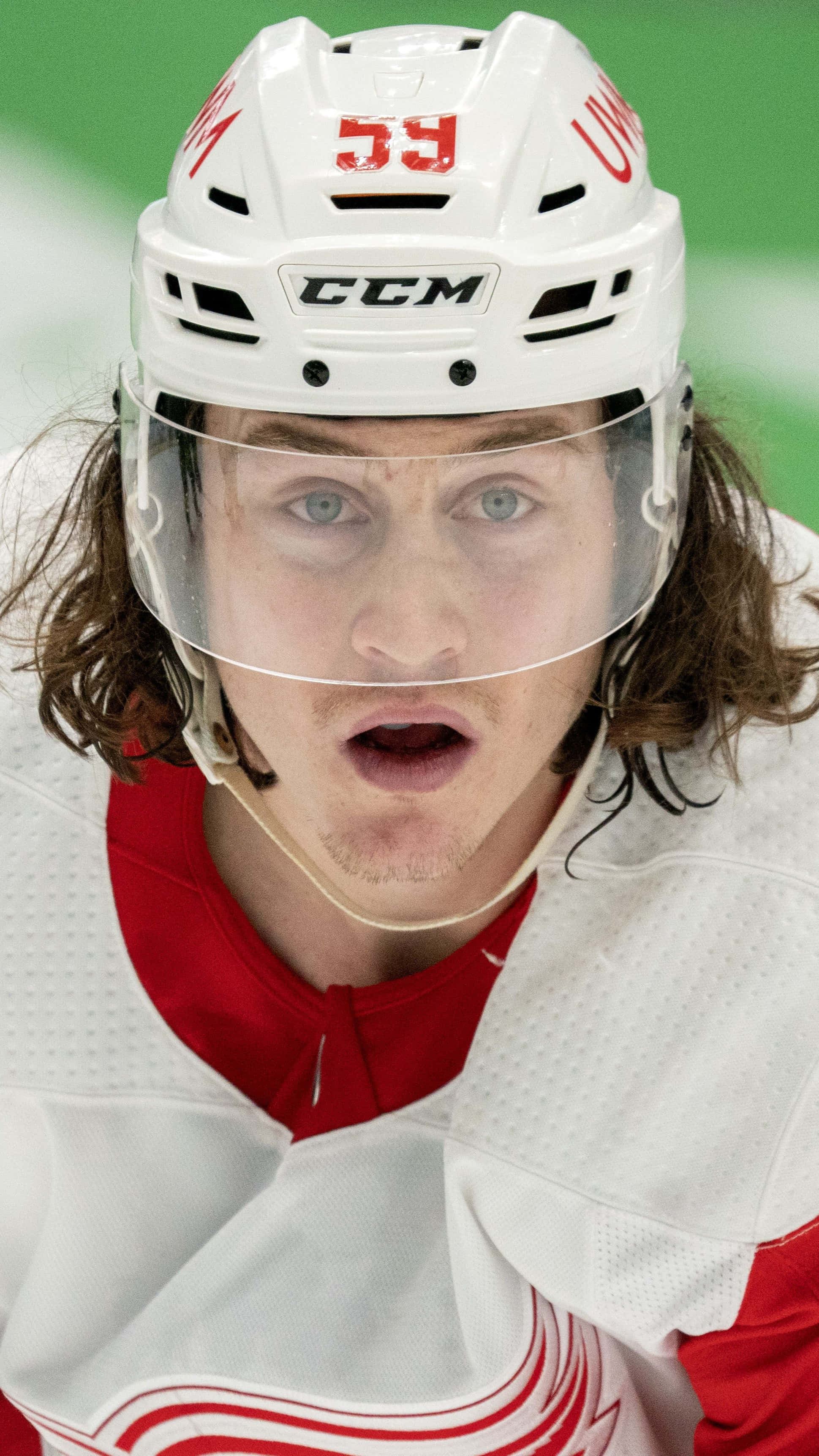 Tyler Bertuzzi, hockey player, white helmet, 2K Phone Wallpaper