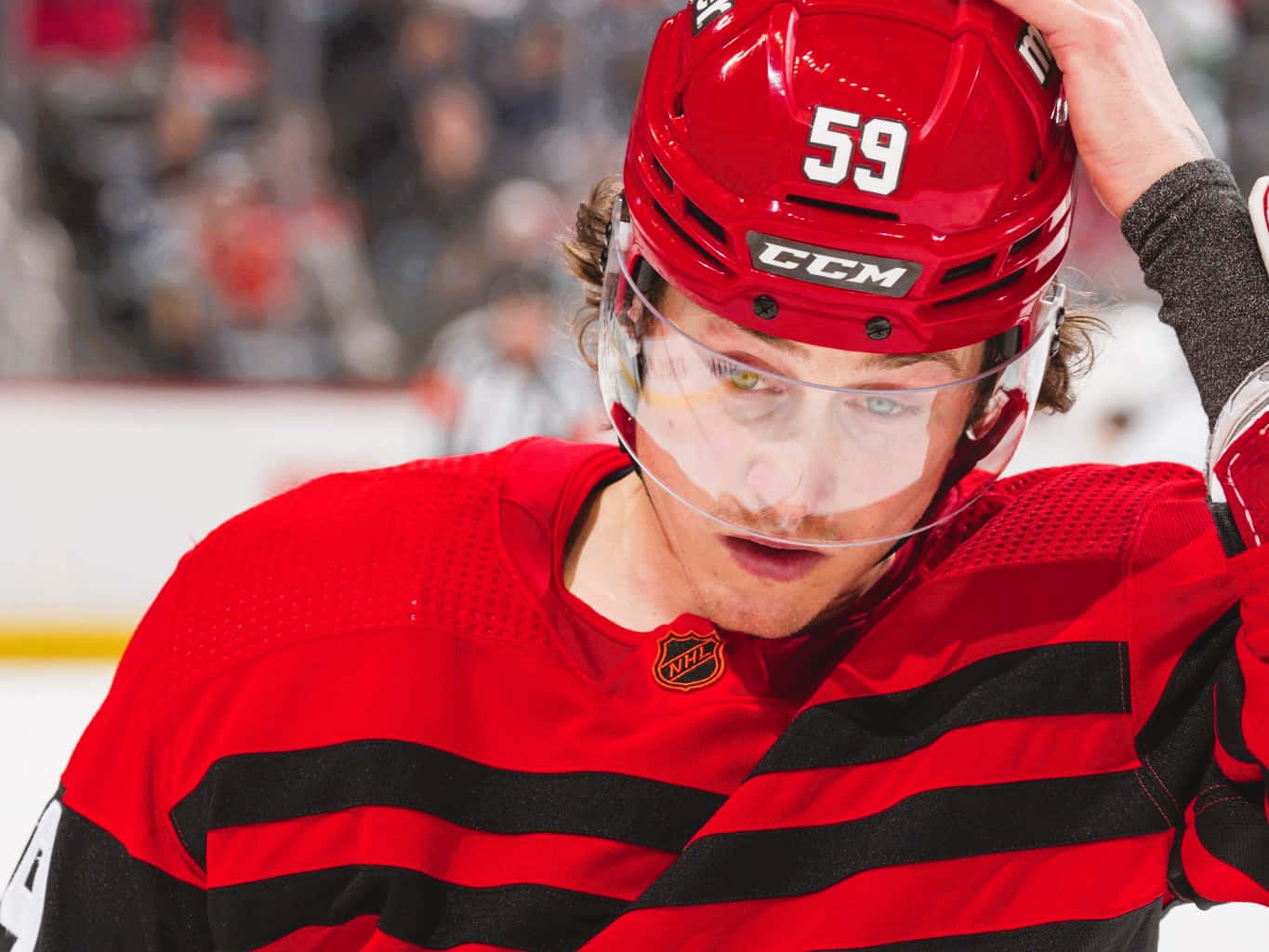 Tyler Bertuzzi, number 59, red and black uniform, HD Desktop Wallpaper