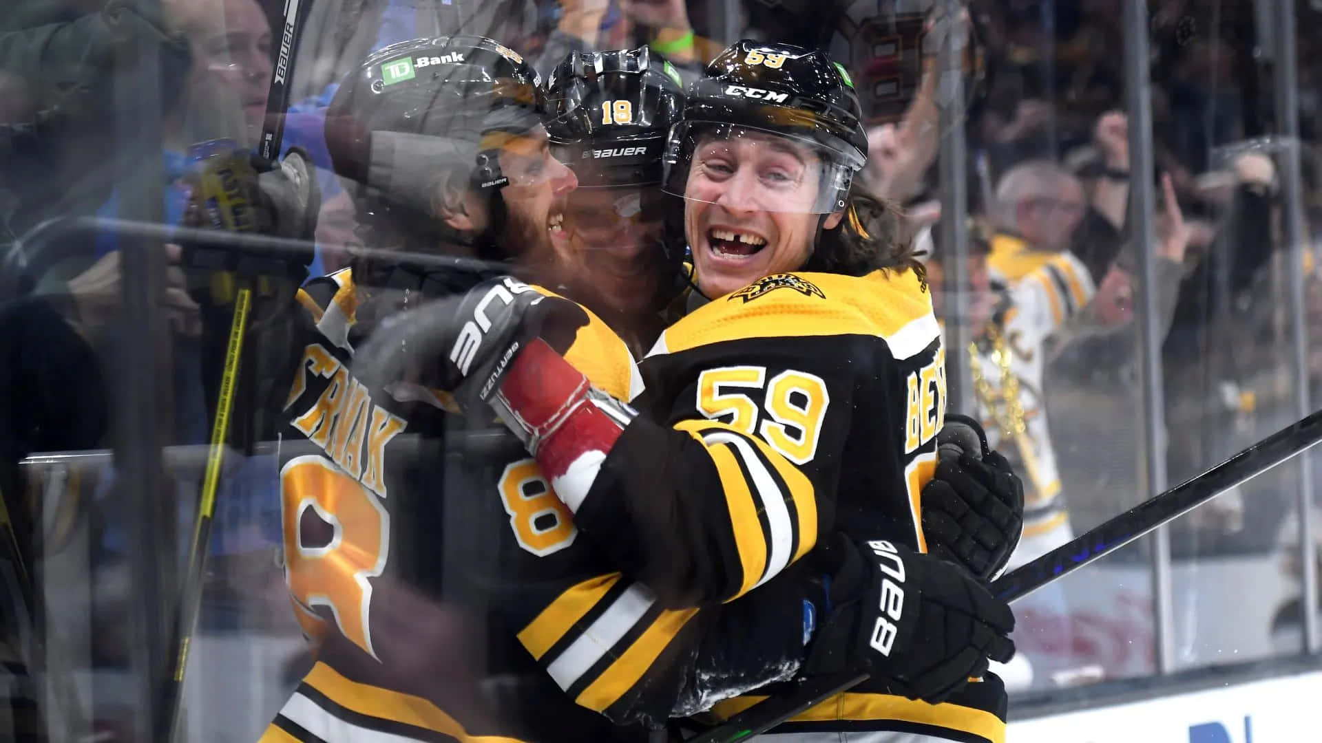 Tyler Bertuzzi, black and gold jerseys, ice rink, Full HD Desktop Wallpaper