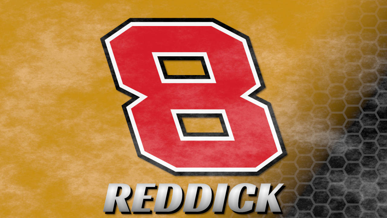 Tyler Reddick, number eight, textured gold, HD Desktop Wallpaper