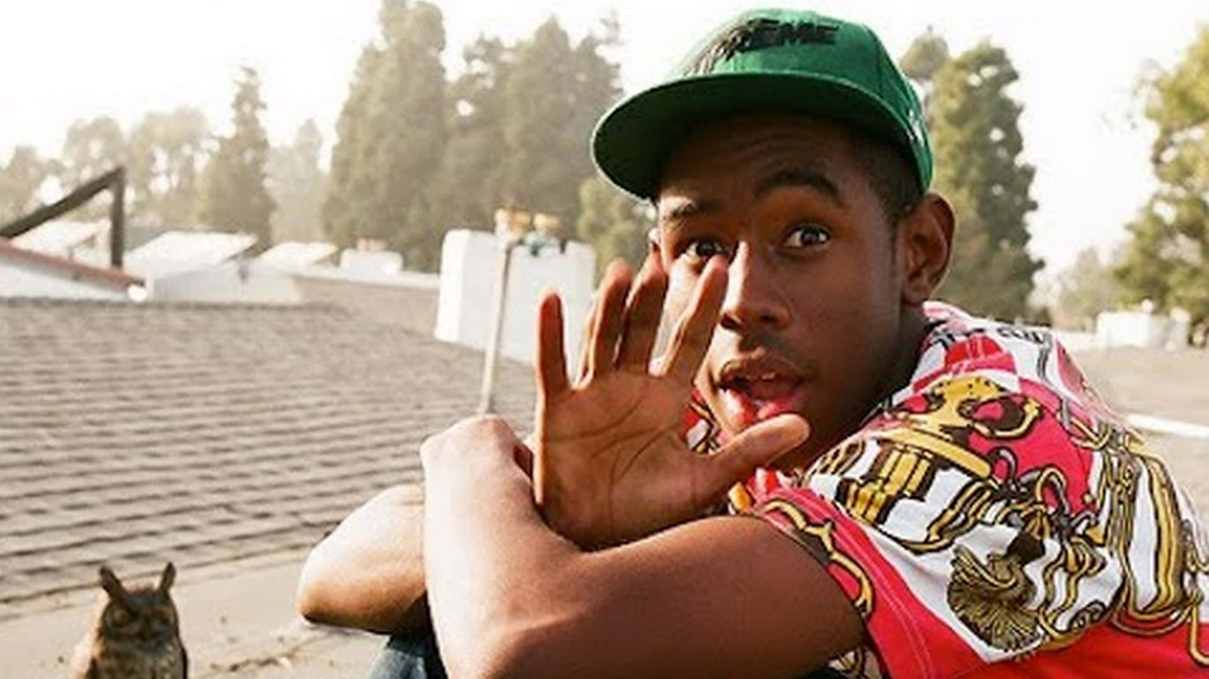 Tyler The Creator, green cap, colorful shirt, 4K Desktop Wallpaper