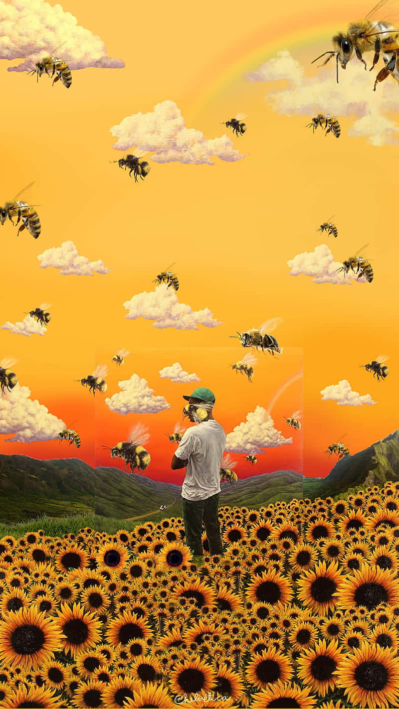sunflower field, Tyler The Creator, vibrant orange sky, HD Phone Wallpaper