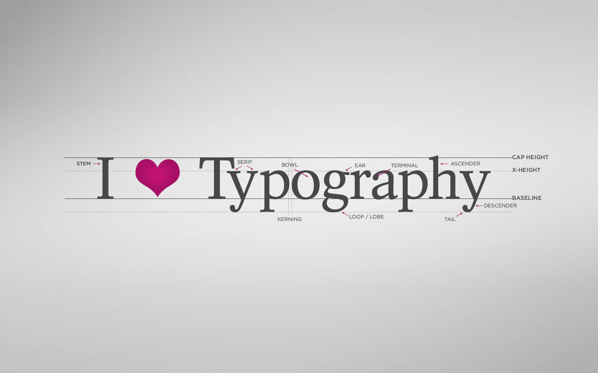 I Love Typography, soft gray gradient background, typography anatomy, Full HD Desktop Wallpaper