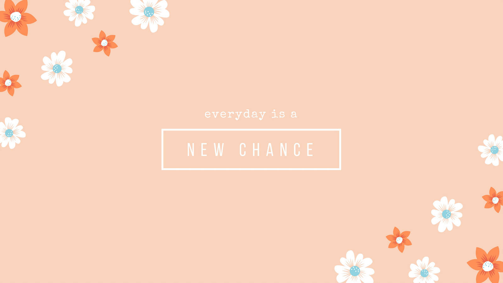 minimalist flower computer, soft peach background, white daisies, HD Desktop Wallpaper