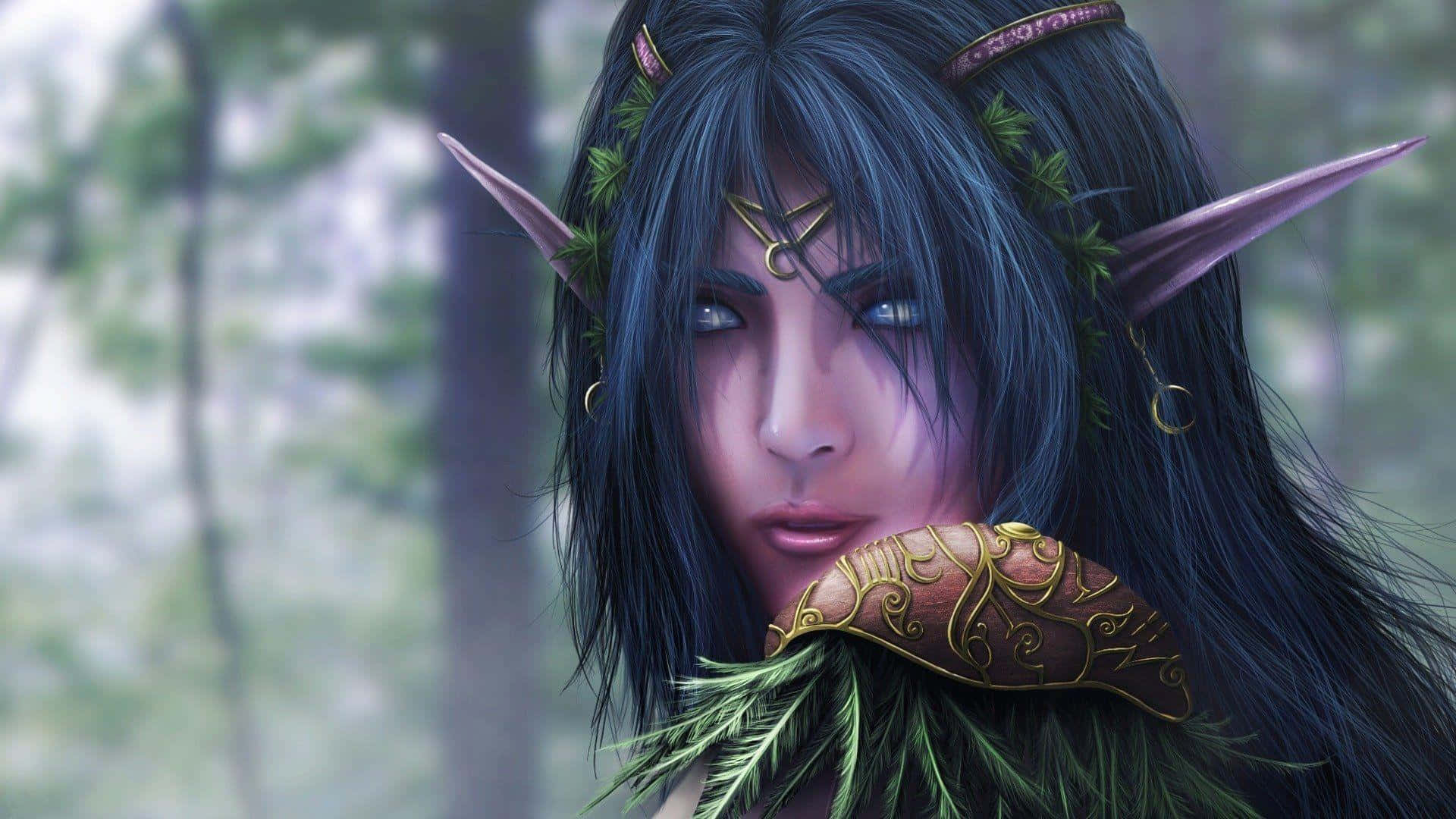 Tyrande Whisperwind, enchanting forest, dark hair, Full HD Desktop Wallpaper