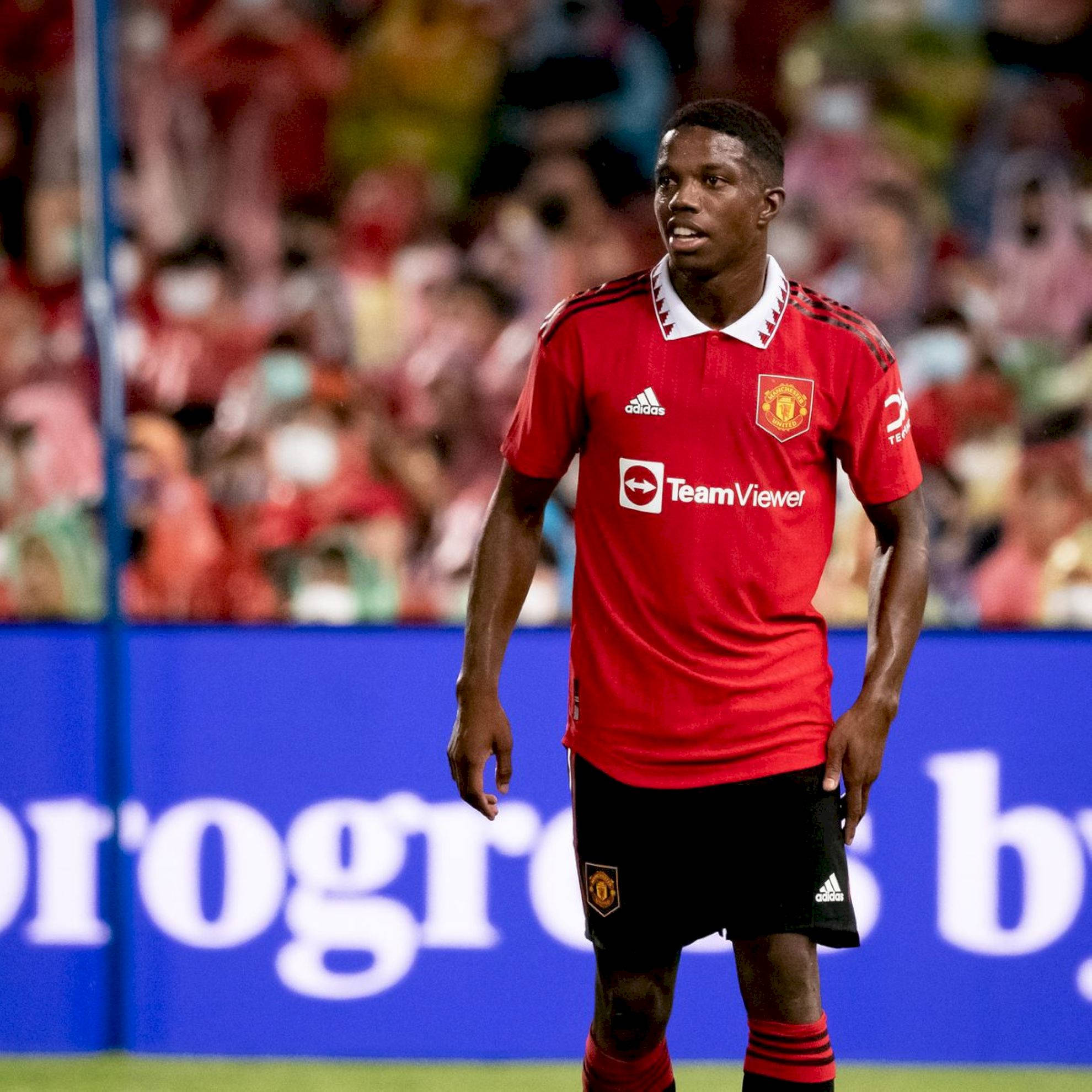 Tyrell Malacia, red Manchester United jersey, brightly lit pitch, Full HD Desktop Wallpaper