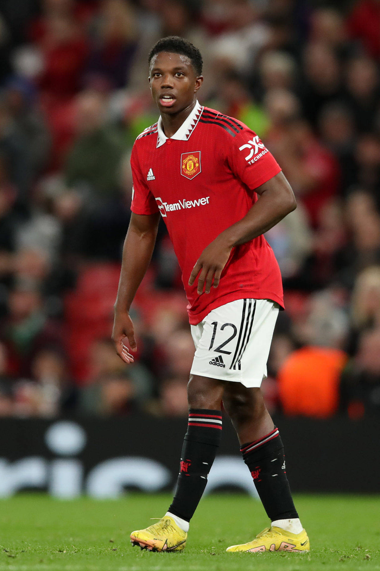 Tyrell Malacia, red Manchester United jersey, green pitch, Full HD Phone Wallpaper