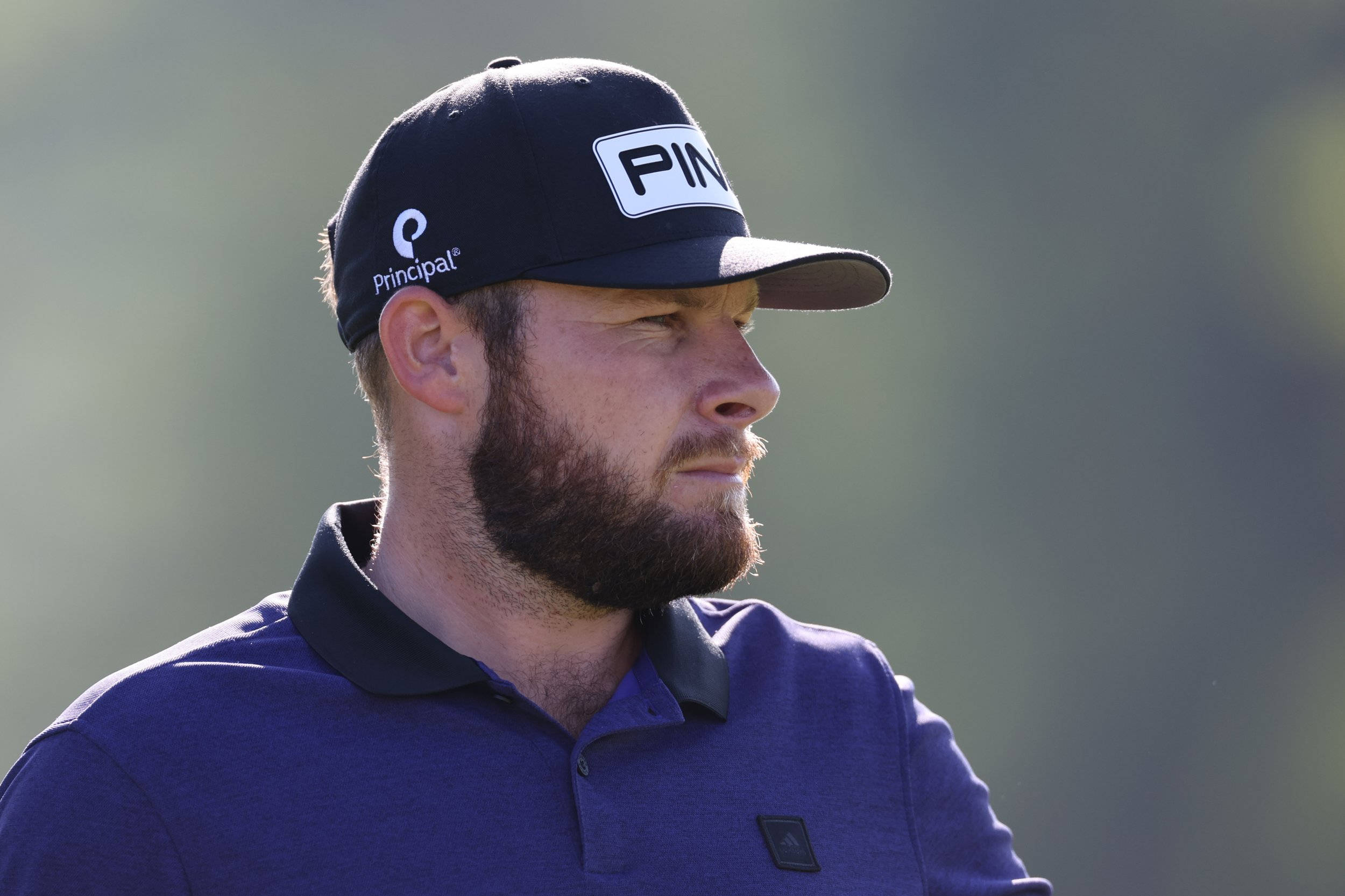 Tyrrell Hatton, black cap, blue polo shirt, Full HD Desktop Wallpaper