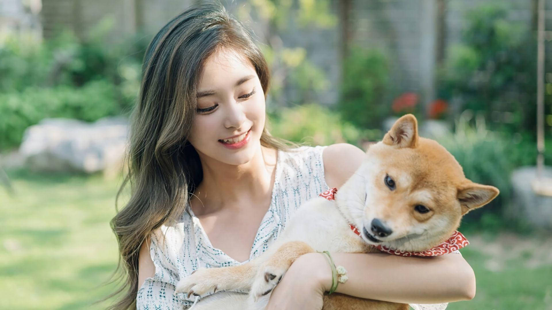 Tzuyu, shiba inu, sunlit garden, Full HD Desktop Wallpaper