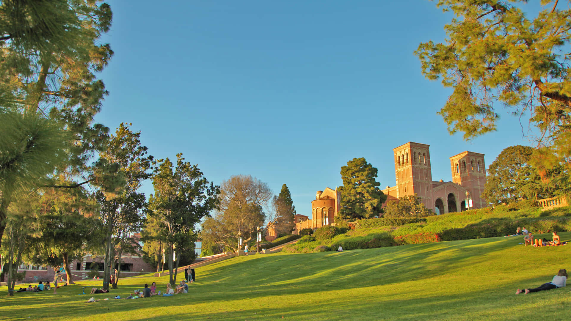Ucla Campus, green lawn, Sunlit grassy hill, Full HD Desktop Wallpaper