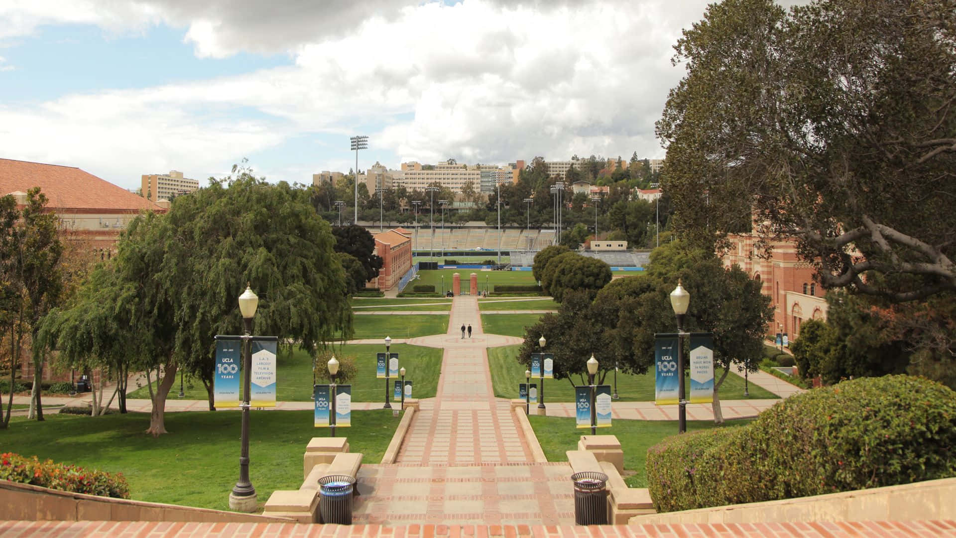Ucla Campus, stone pathway, lush green campus, Full HD Desktop Wallpaper