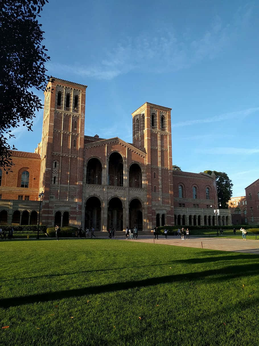 UCLA campus, grand brick university building, twin towers, SD Phone Wallpaper