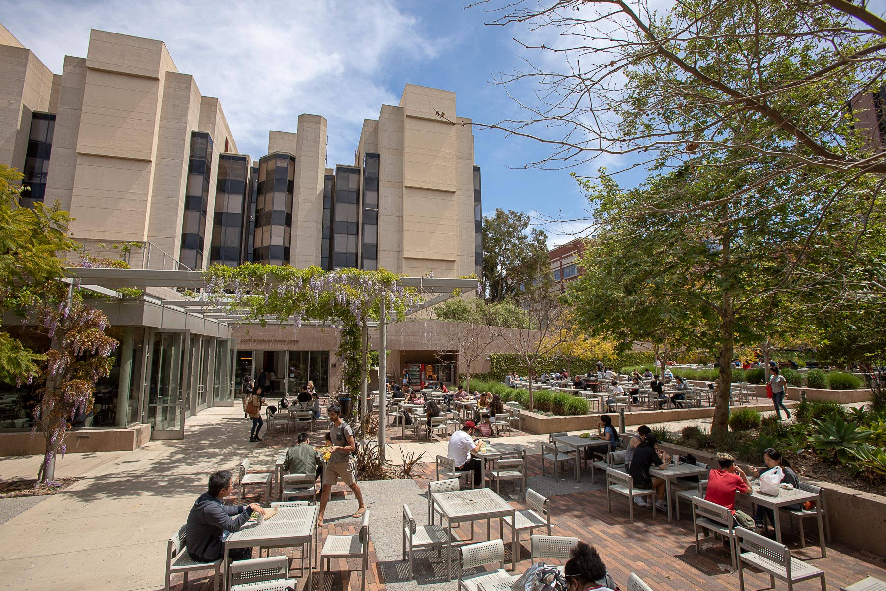 UCLA, outdoor tables, trees, HD Desktop Wallpaper