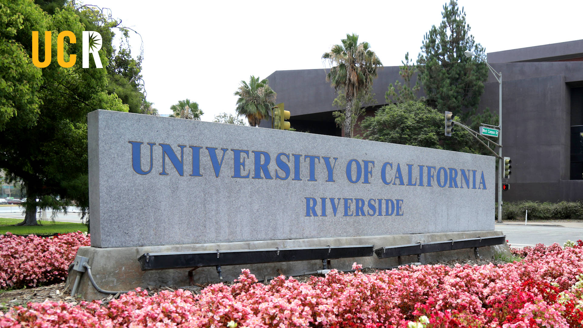 UCR, concrete sign, pink flowers, Full HD Desktop Wallpaper