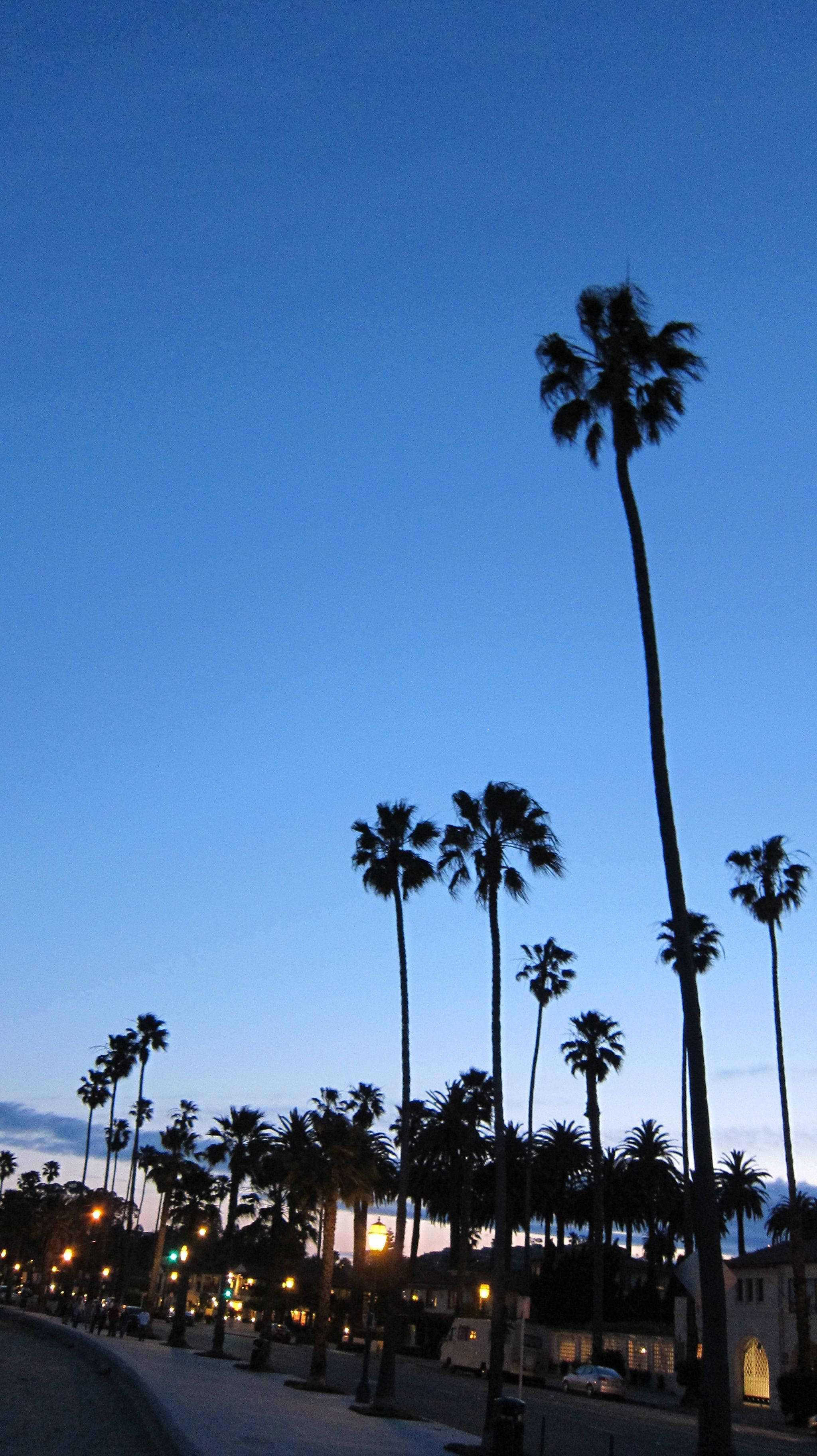 beach, night, UCSB, 2K Phone Wallpaper