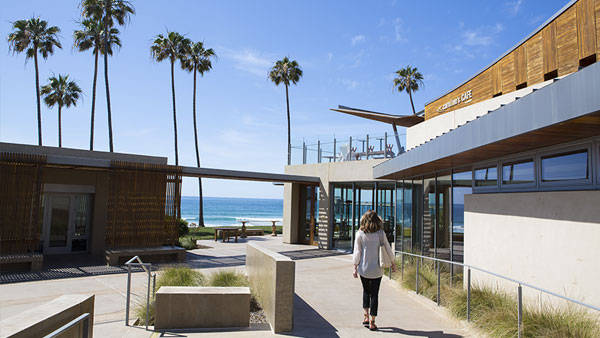 UCSD, modern beachside cafe, tall palm trees, SD Desktop Wallpaper